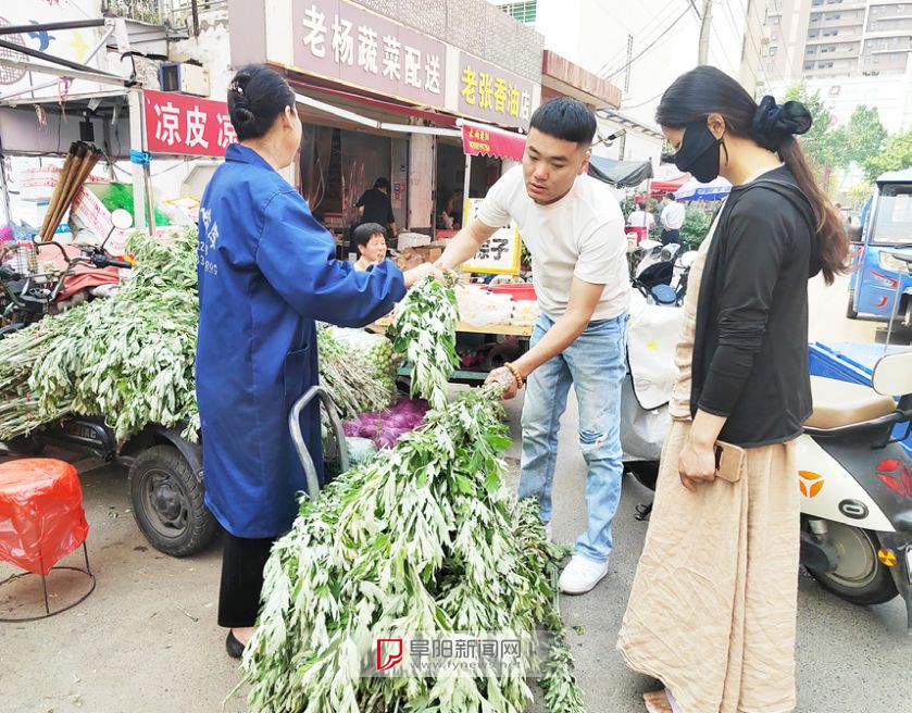 【网络中国节·端午】艾草热销，价格“亲民”